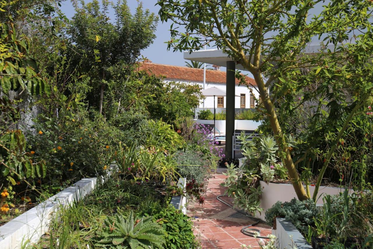 Jungle Paradise La Orotava Εξωτερικό φωτογραφία