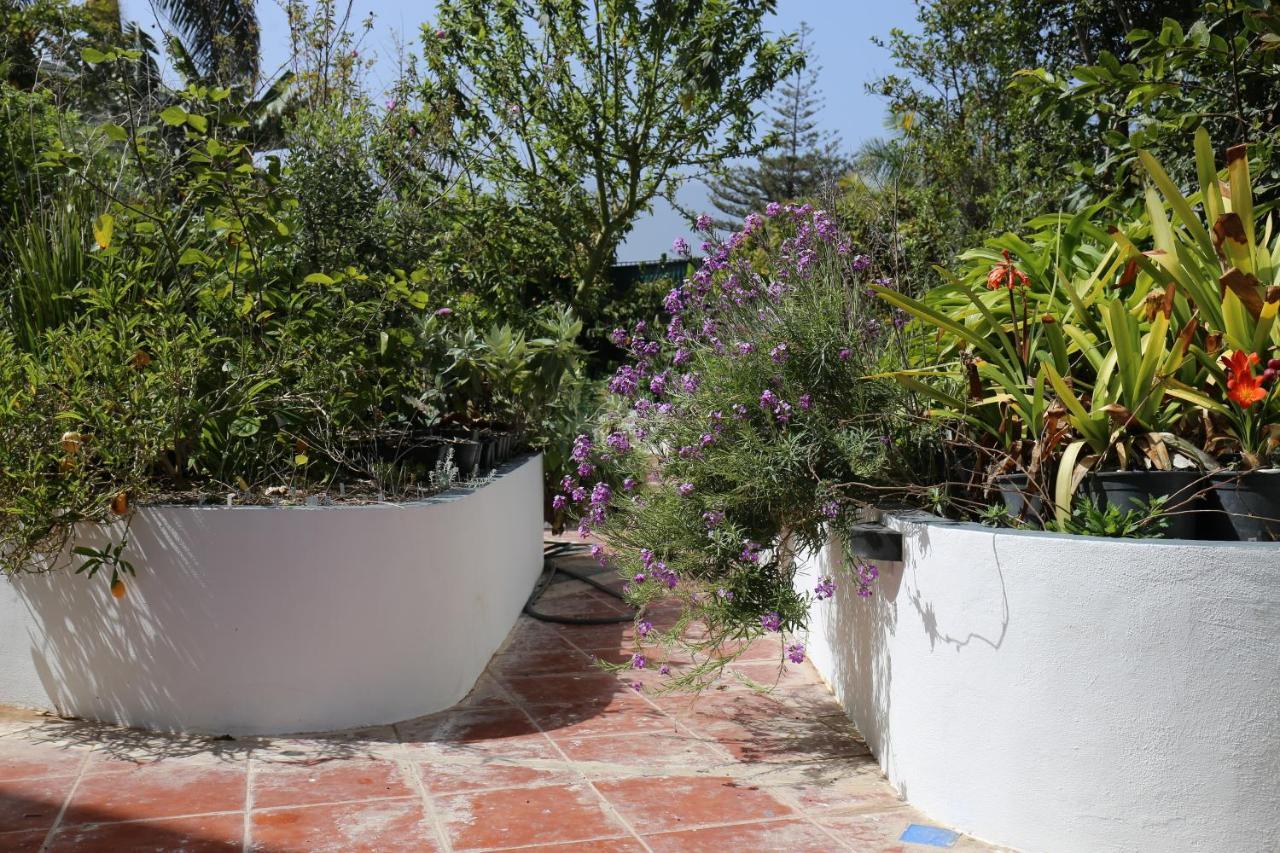 Jungle Paradise La Orotava Εξωτερικό φωτογραφία